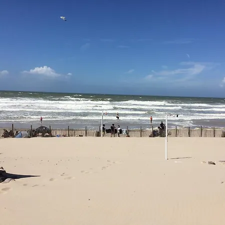 Bienvenue A Sainte Cecile Plage Camiers Exterior photo